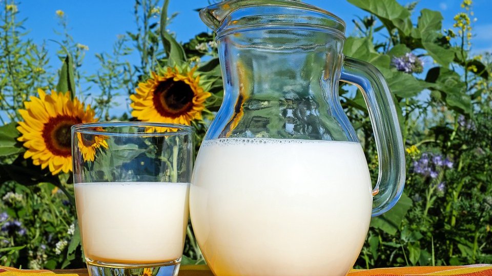 Laptele românesc ar urma să fie cu 20% mai ieftin la raft de astăzi