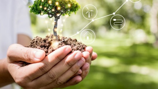 6 proiecte de mediu finanțate de municipalitate, în acest an