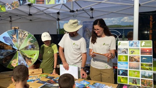 LYNX Festival - Primul festival dedicat exclusiv filmului documentar, la Brașov