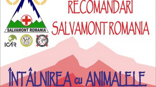 Pe cărări de munte! Cum puteți ține animalele sălbatice la distanță