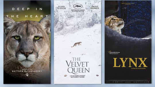 Ellen Windemuth, Vincent Munier și John Murray - invitați speciali ai festivalului "Lynx"