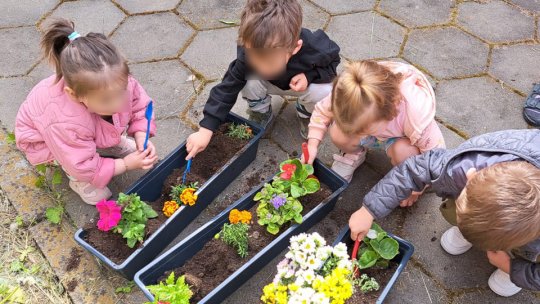 Săptămâna verde, și în creșele brașovene