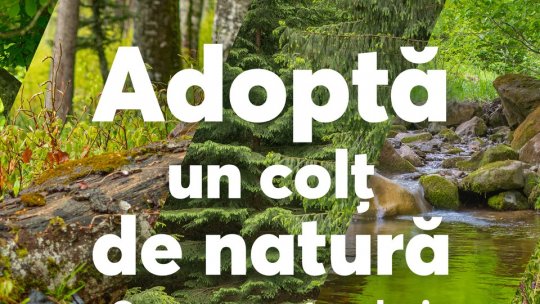 Elevii au șansa de a câștiga o excursie în Parcul Național Pădurile Bavareze