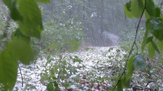 Cod galben de averse și descărcări electrice, în județ