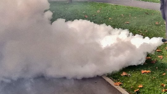 Începe cea de-a doua campanie de dezinsecție