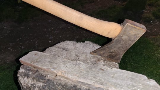 Polițiști și jandarmi amenințați cu toporul și loviți cu pietre, la Săcele