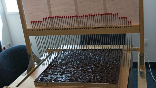 A fost inaugurat singurul Centru român de excelență pentru inteligența artificială pe date de observare a Terrei, pentru agricultură