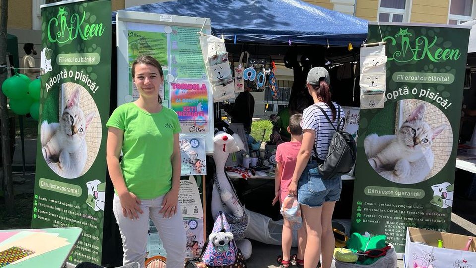 Sterilizări gratuite pentru pisici