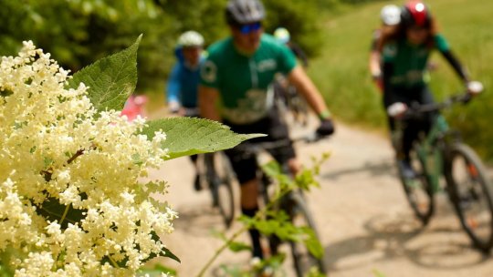 Prima zi a festivalului 'Cobor între stejari' a adunat peste 400 de iubitori de natură și mişcare