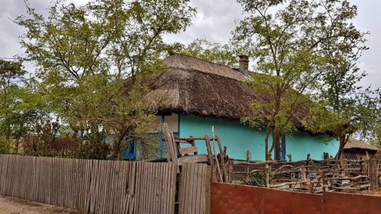 JURNAL DE CĂLĂTORIE. În lumea haholilor, pe potecile magicei Păduri Letea