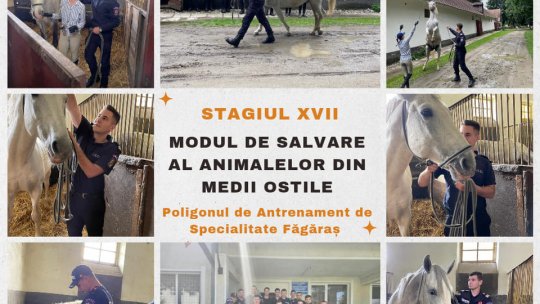 La Făgăraș, pompierii învață cum să salveze animalele