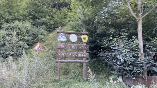 O plimbare spre Cabana Curmătura, în Piatra Craiului