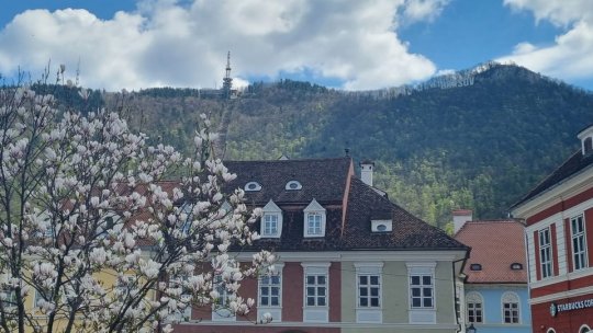 Misterul balaurului de pe Tâmpa