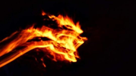 Incendiu la o fermă de porci