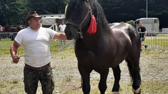 Ediție aniversară a Festivalului Național Ecvestru de la Râșnov