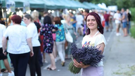 A început "Lavanda Fest"!