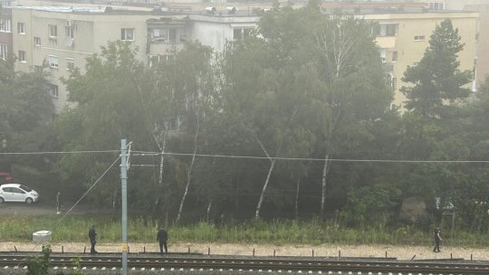 Tot mai multe mesaje RO-ALERT care indică prezența ursului, în municipiu