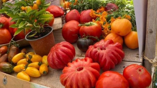 Prețurile au scăzut semnificativ în România, în prima săptămână din august