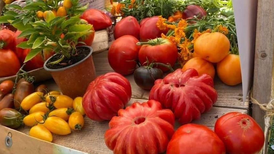 Prețurile au scăzut semnificativ în România, în prima săptămână din august