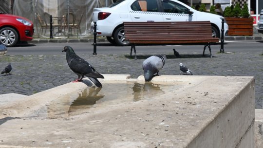 Codul galben de căldură și disconfort termic ridicat, prelungit, la Brașov