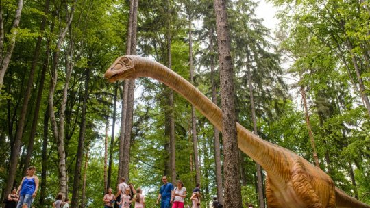 Dino Parc Râșnov, Marele Premiu al publicului la Destinația Anului