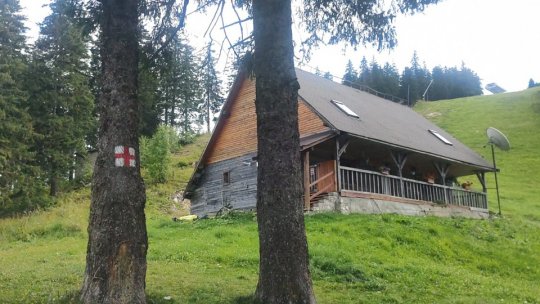 Poiana Brașov, magnet pentru turiștii care vor să se răcorească