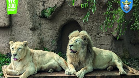 Gratis pentru cei mici la Zoo Brașov, de Ziua Grădinilor Zoologice