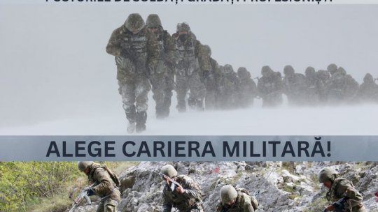 Se cauta soldați și gradați profesioniști !