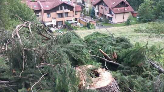La Brașov, unde-i lege e... tocmeală
