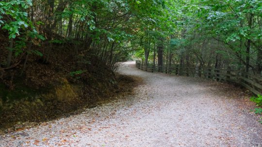 Drumul Vechi, reparat pe banii rețeliștilor