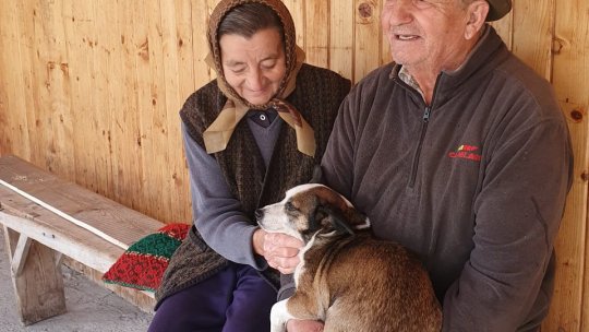 Cu patrupedele la sterilizat, în Șinca Nouă