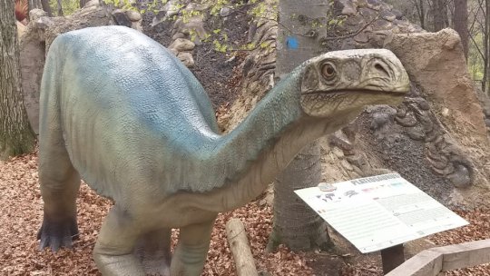 În tabără la Dino Parc Râșnov