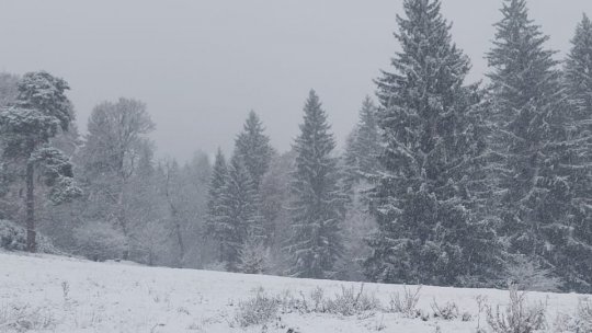 Informare meteo de ninsori, polei și vânt puternic, până mâine seară