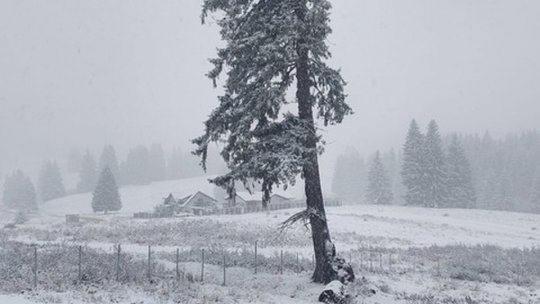 Cod galben de fenomene meteo periculoase, în județul Brașov