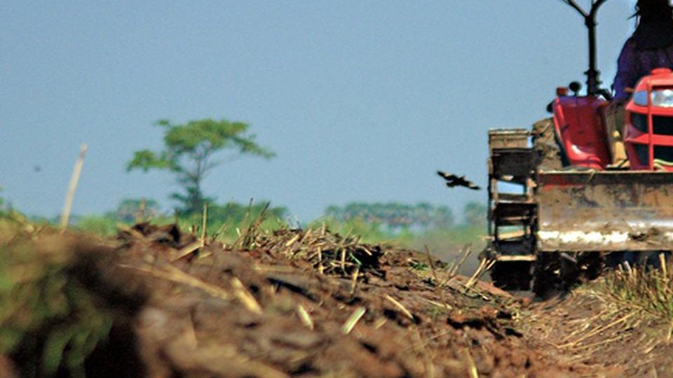 Fonduri europene pentru fermierii români. Se deschide o nouă linie de finanțare