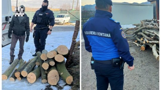 Jandarmii brașoveni au dat amenzi de 13.000 de lei în ultimele zile