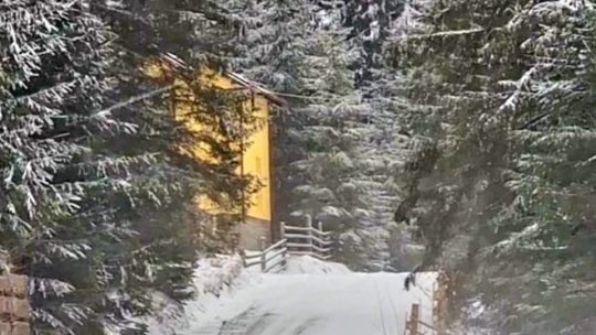 ANM a actualizat prognoza meteo: cod galben de ninsori viscolite, până vineri seara