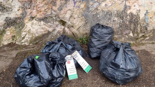 VIDEO Amplă acțiune de ecologizare pe Muntele Tâmpa