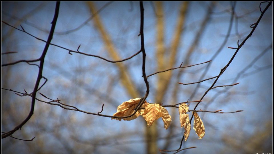 S-a înregistrat cea mai scăzută temperatură, minus 7,6 grade Celsius la Harghita