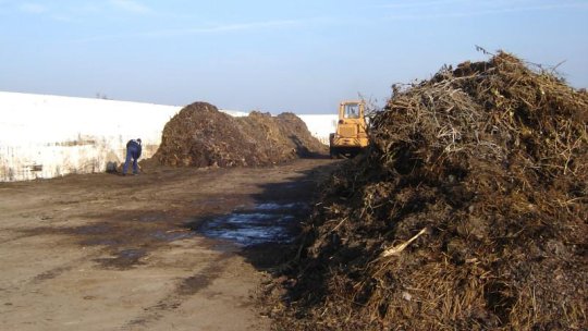 Anotimpul mirosurilor neplăcute, la Brașov