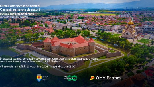 Sfârșit de săptămână dedicat plantărilor de arbori, la Făgăraș și Victoria