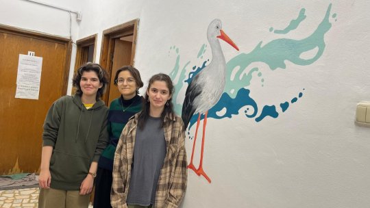 Arta, la Agenția de Mediu Brașov