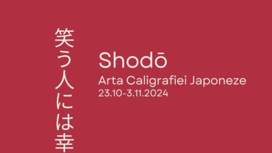 Expoziție de artă caligrafică japoneză la Biblioteca Județeană