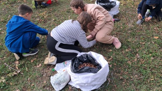 Ghinderiada, concurs de adunat ghinde pentru urșii din Sanctuarul Libearty Zărnești