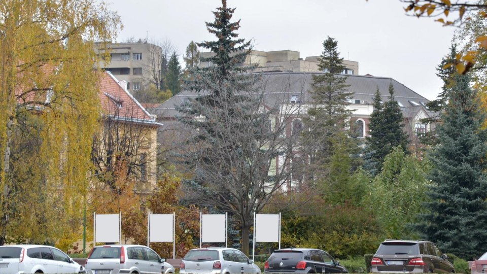 Panouri electorale la Brașov