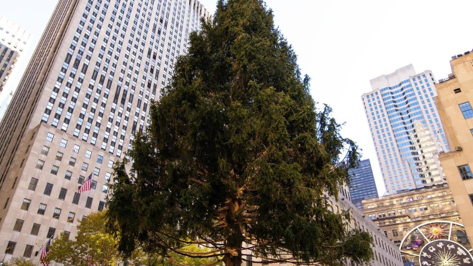 VIDEO: Bradul de Crăciun din New York a fost instalat