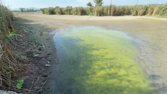 Delta din Carpați, în pericol!