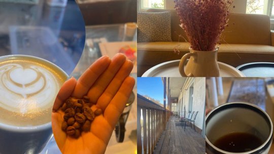 Povestea brașoveanului Adrian Bularca, unul dintre cei mai apreciați consultanți de cafea din lume!