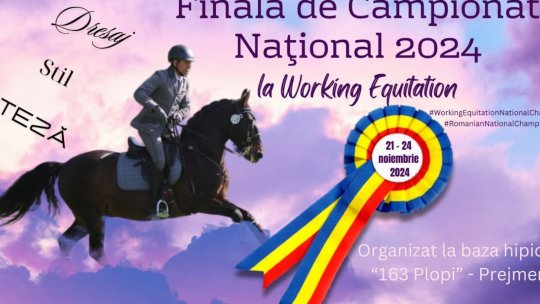 Finala Campionatului Național de Working Equitation va avea loc la Prejmer