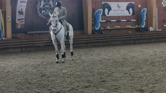 Finala Campionatului Național de Working Equitation 2024 a avut loc la Prejmer